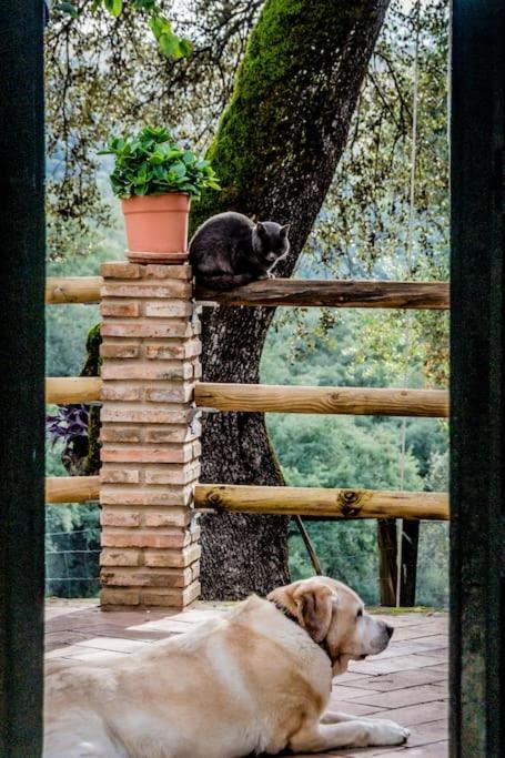Casa Rural Alicia Cortegana Exterior photo